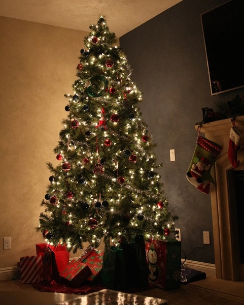 Trang trí cây thông Noel trong nhà